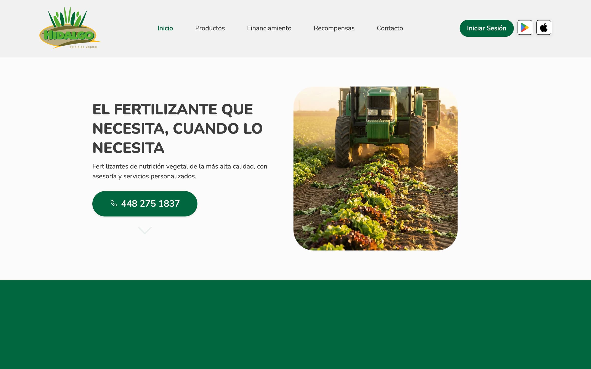 Página de inicio de hidalgonutricionvegetal.com en escritorio