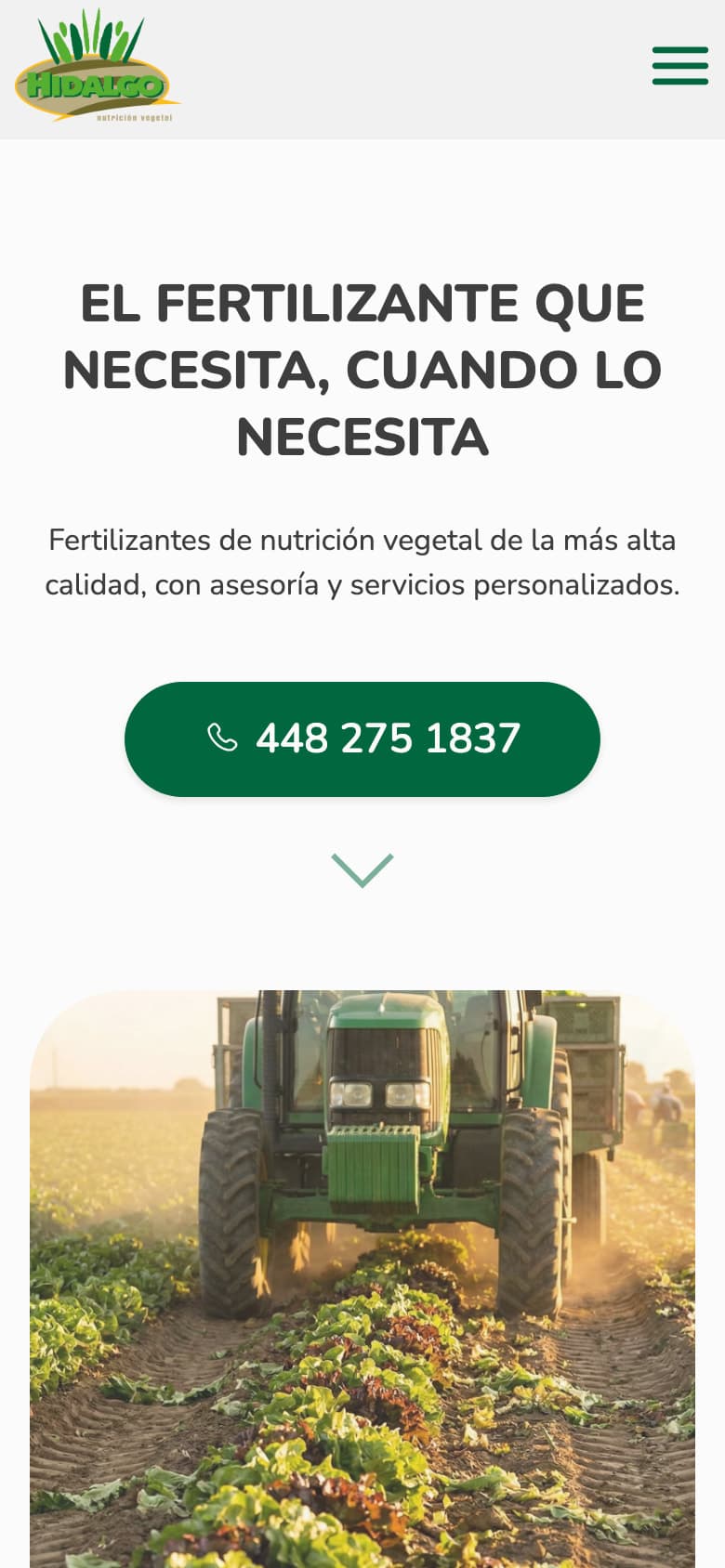 Página de inicio de hidalgonutricionvegetal.com en un teléfono
