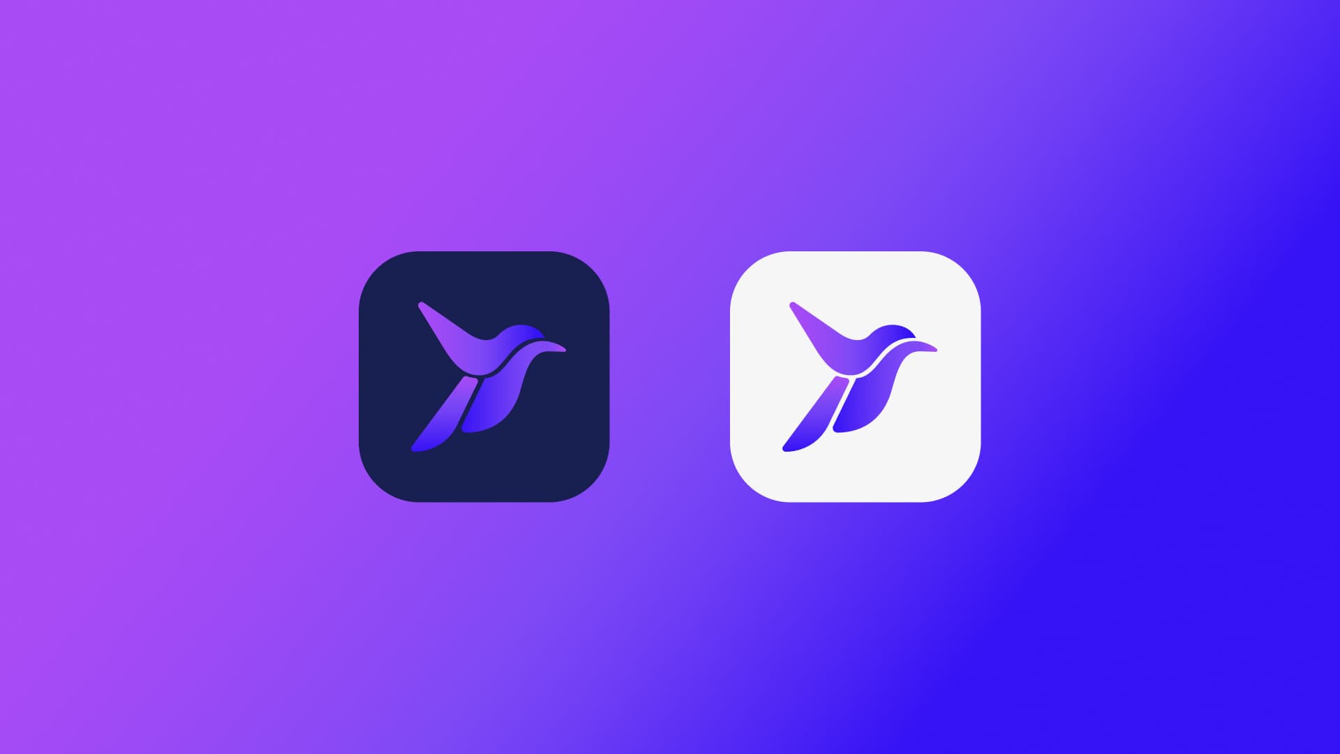 Rapibill app icon in dark and light versions