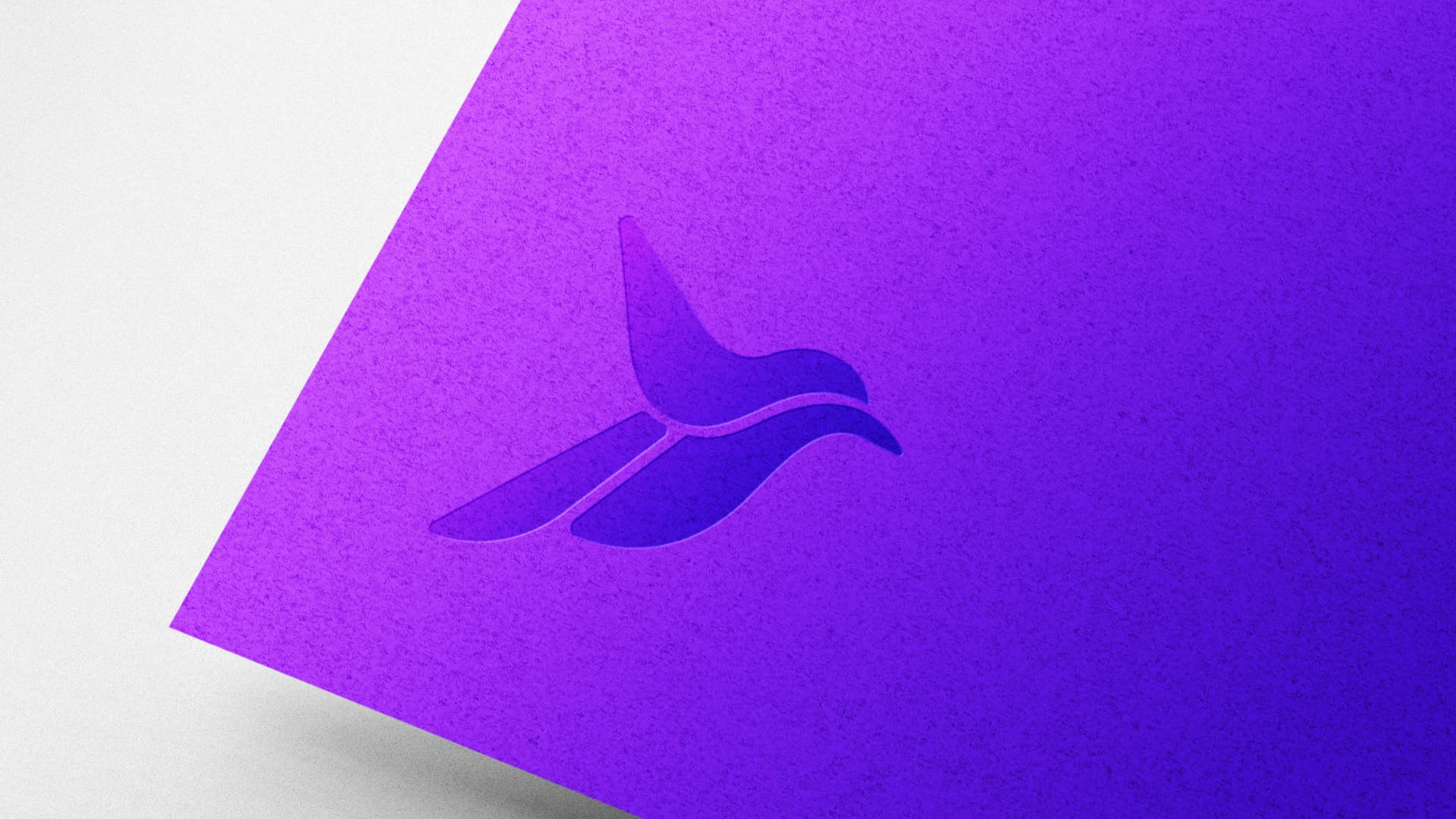 Isotipo de colibrí de Rapibill en relieve sobre papel violeta